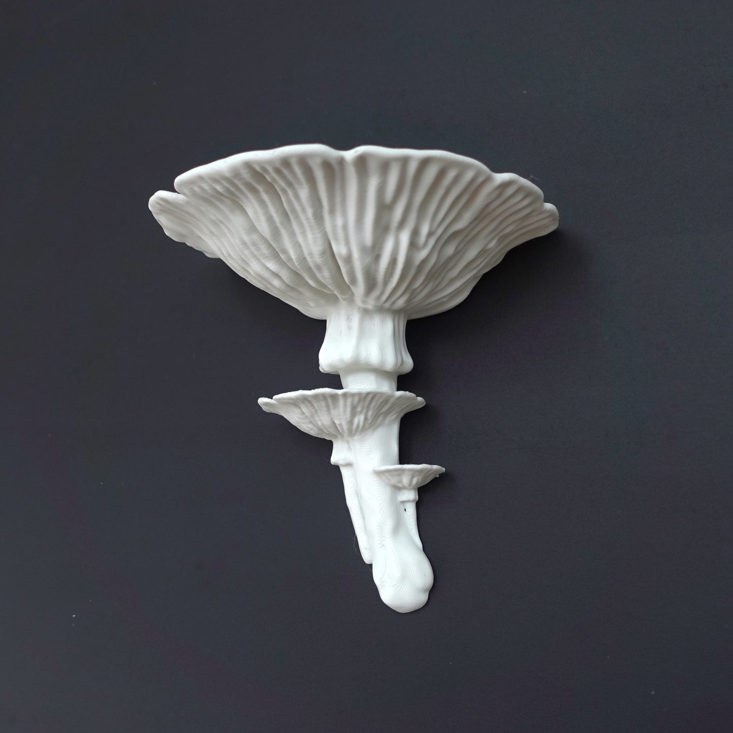 Wall shelf “Amanita Fungus”