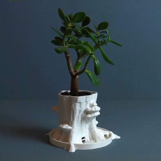 Planter “Sylvatica Tree”