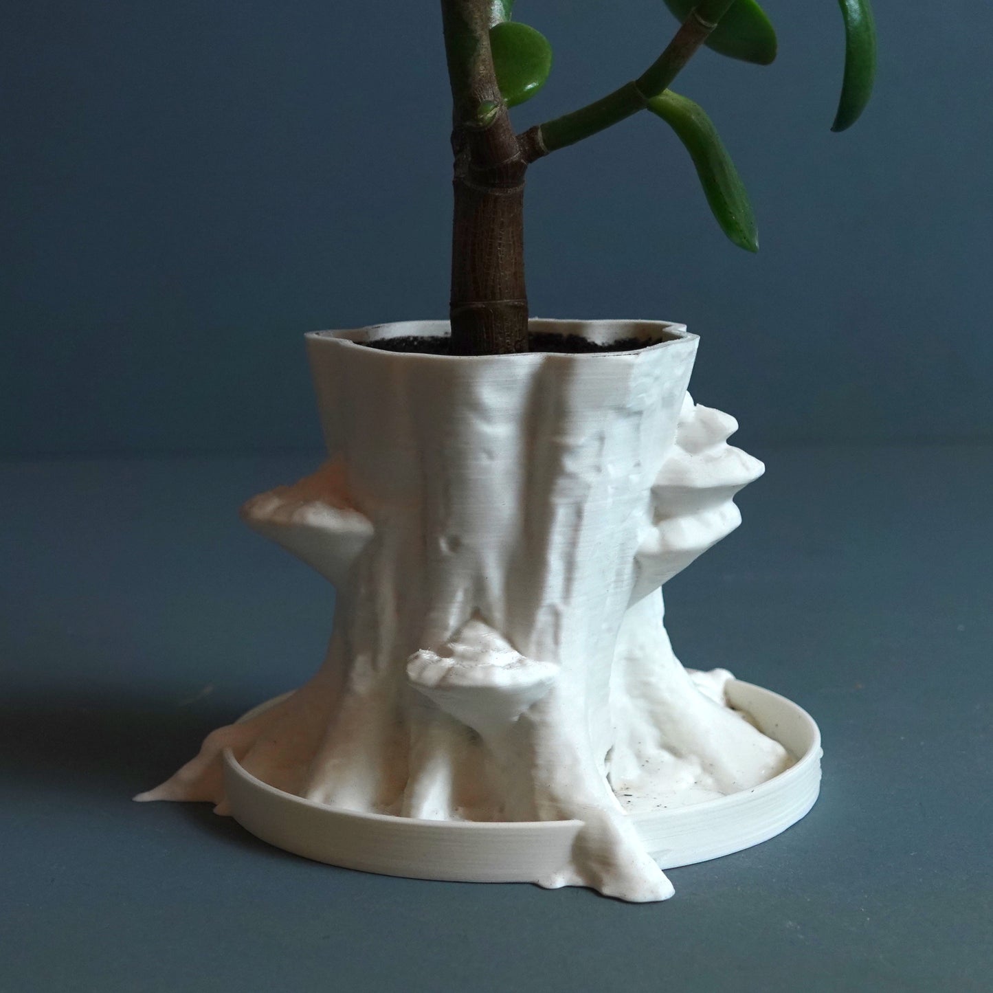 Planter “Sylvatica Tree”