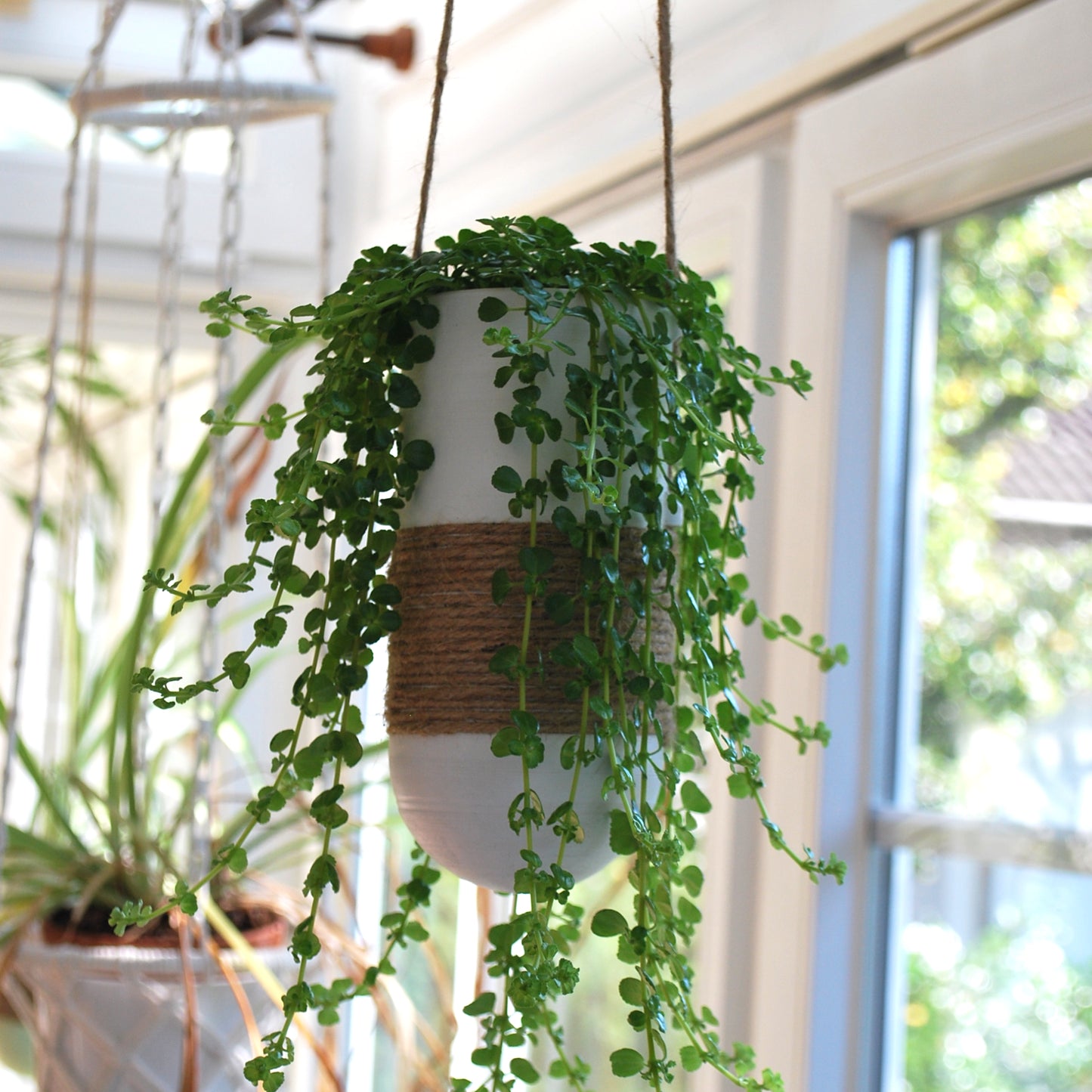 Hanging Planter